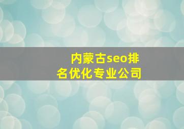 内蒙古seo排名优化专业公司