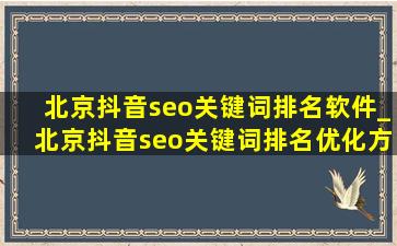 北京抖音seo关键词排名软件_北京抖音seo关键词排名优化方案