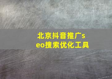 北京抖音推广seo搜索优化工具
