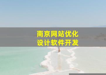 南京网站优化设计软件开发