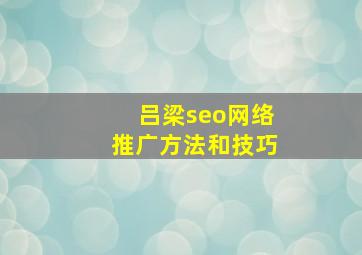 吕梁seo网络推广方法和技巧