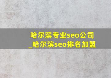 哈尔滨专业seo公司_哈尔滨seo排名加盟