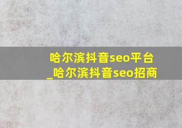 哈尔滨抖音seo平台_哈尔滨抖音seo招商