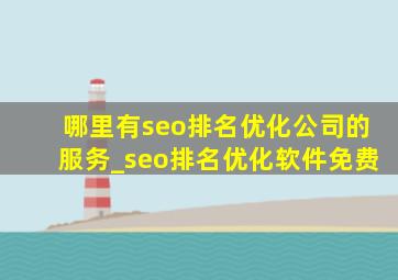 哪里有seo排名优化公司的服务_seo排名优化软件免费