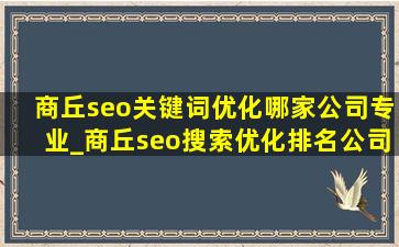 商丘seo关键词优化哪家公司专业_商丘seo搜索优化排名公司