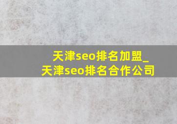 天津seo排名加盟_天津seo排名合作公司