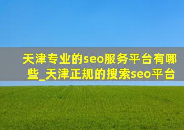 天津专业的seo服务平台有哪些_天津正规的搜索seo平台