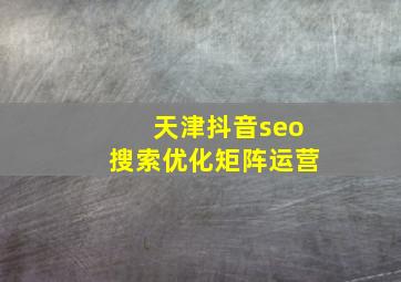 天津抖音seo搜索优化矩阵运营