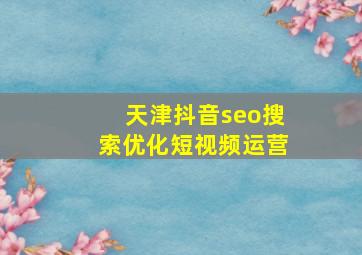 天津抖音seo搜索优化短视频运营