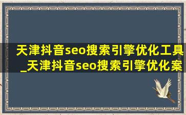 天津抖音seo搜索引擎优化工具_天津抖音seo搜索引擎优化案例