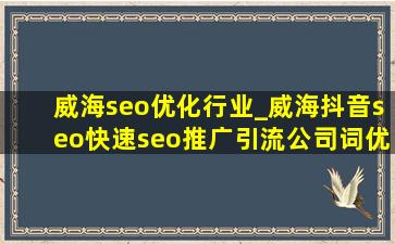 威海seo优化行业_威海抖音seo(快速seo推广引流公司)词优化