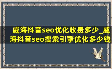 威海抖音seo优化收费多少_威海抖音seo搜索引擎优化多少钱