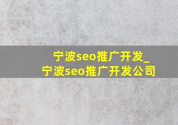 宁波seo推广开发_宁波seo推广开发公司