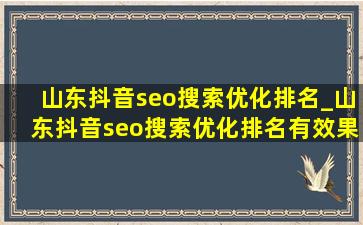 山东抖音seo搜索优化排名_山东抖音seo搜索优化排名有效果吗