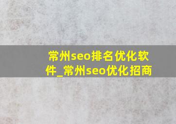 常州seo排名优化软件_常州seo优化招商