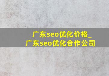 广东seo优化价格_广东seo优化合作公司