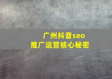 广州抖音seo推广运营核心秘密