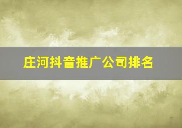 庄河抖音推广公司排名