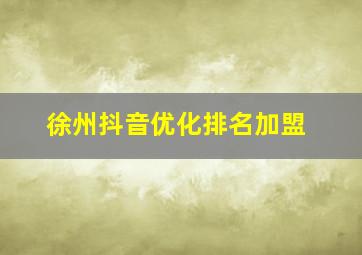徐州抖音优化排名加盟
