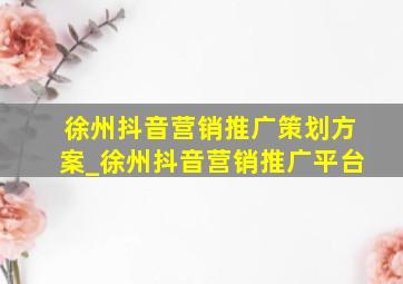 徐州抖音营销推广策划方案_徐州抖音营销推广平台