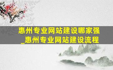 惠州专业网站建设哪家强_惠州专业网站建设流程