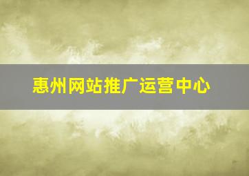 惠州网站推广运营中心