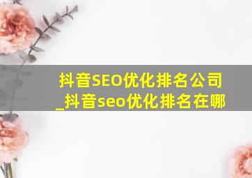 抖音SEO优化排名公司_抖音seo优化排名在哪