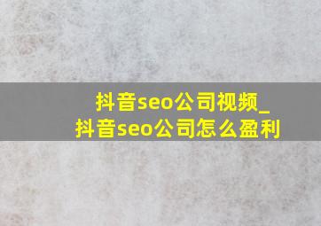 抖音seo公司视频_抖音seo公司怎么盈利