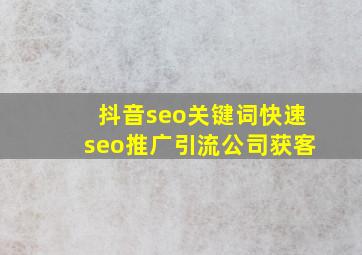抖音seo关键词(快速seo推广引流公司)获客