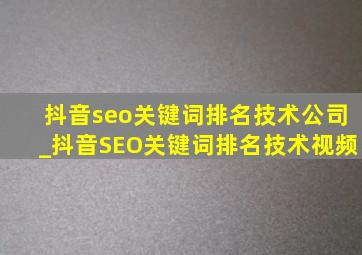 抖音seo关键词排名技术公司_抖音SEO关键词排名技术视频