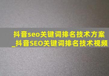 抖音seo关键词排名技术方案_抖音SEO关键词排名技术视频