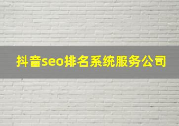 抖音seo排名系统服务公司