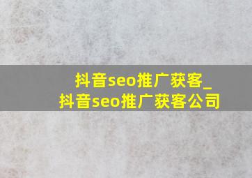 抖音seo推广获客_抖音seo推广获客公司