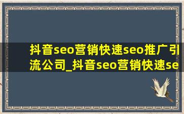 抖音seo营销(快速seo推广引流公司)_抖音seo营销(快速seo推广引流公司)