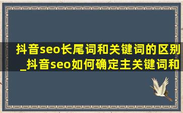 抖音seo长尾词和关键词的区别_抖音seo如何确定主关键词和长尾词