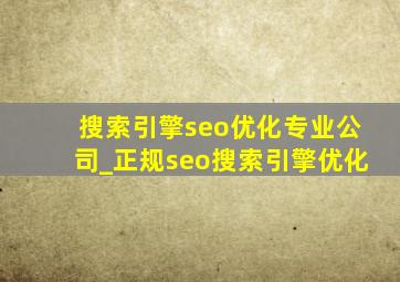 搜索引擎seo优化专业公司_正规seo搜索引擎优化