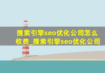 搜索引擎seo优化公司怎么收费_搜索引擎seo优化公司