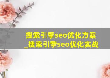搜索引擎seo优化方案_搜索引擎seo优化实战
