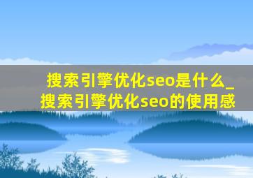 搜索引擎优化seo是什么_搜索引擎优化seo的使用感