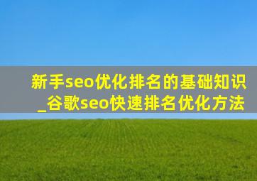 新手seo优化排名的基础知识_谷歌seo快速排名优化方法