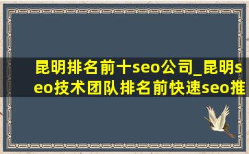 昆明排名前十seo公司_昆明seo技术团队排名前(快速seo推广引流公司)
