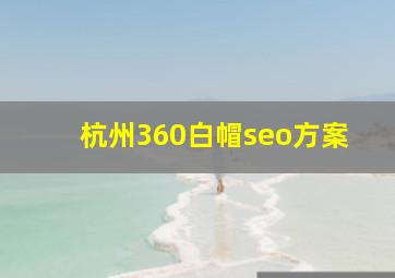杭州360白帽seo方案