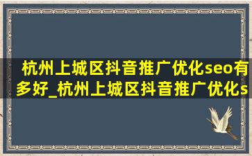 杭州上城区抖音推广优化seo有多好_杭州上城区抖音推广优化seo流程