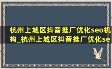 杭州上城区抖音推广优化seo机构_杭州上城区抖音推广优化seo流程