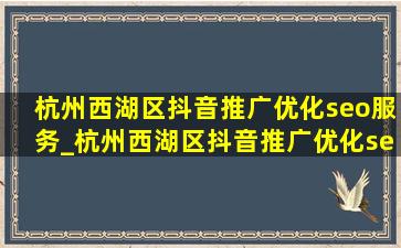 杭州西湖区抖音推广优化seo服务_杭州西湖区抖音推广优化seo价位