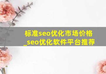 标准seo优化市场价格_seo优化软件平台推荐