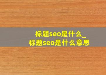 标题seo是什么_标题seo是什么意思