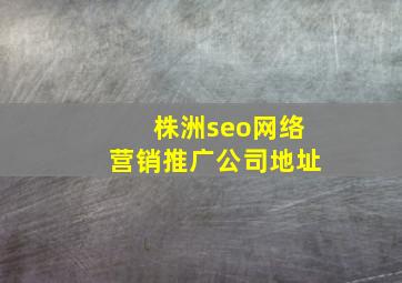株洲seo网络营销推广公司地址