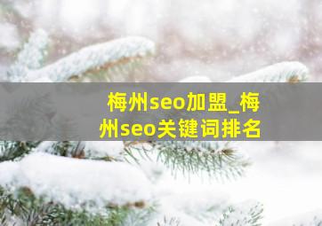 梅州seo加盟_梅州seo关键词排名