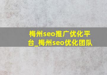梅州seo推广优化平台_梅州seo优化团队